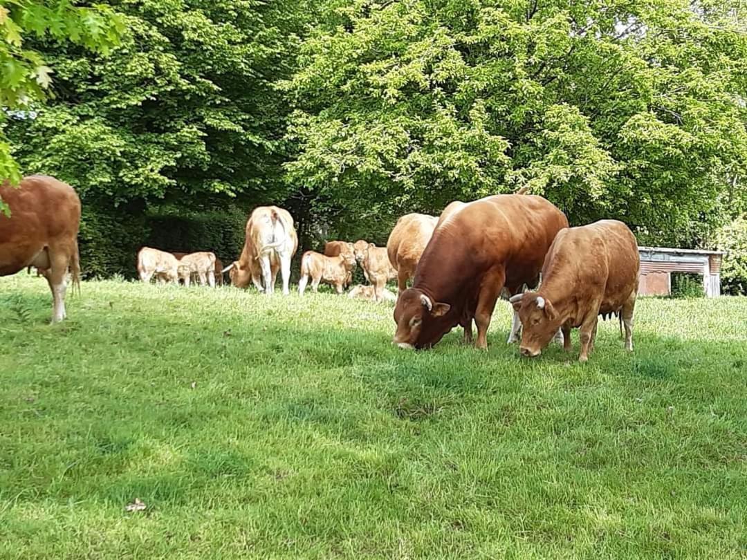 Au Bocage Parfume Gite La Cigaline Wirwignes Bagian luar foto