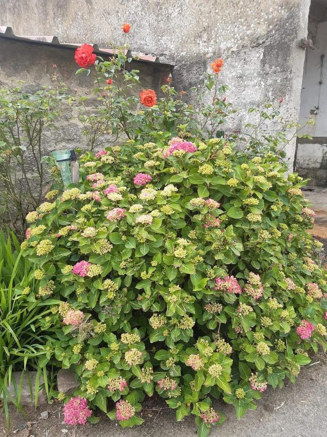 Au Bocage Parfume Gite La Cigaline Wirwignes Bagian luar foto